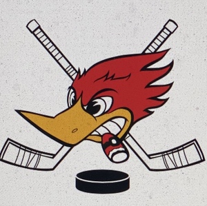 Team Page: Windy City Woodpucker